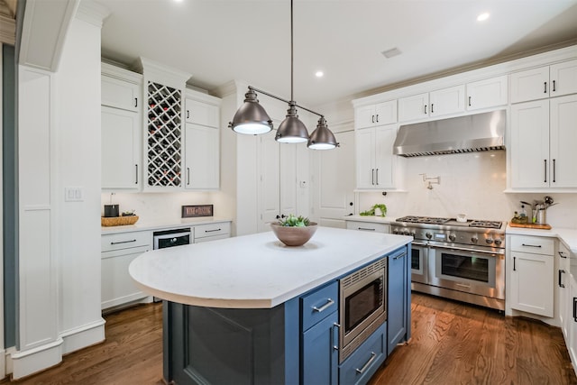 5336 Inker St, Houston, TX 77007 - kitchen with under cabinet range hood, stainless steel appliances, blue cabinetry, and white cabinetry