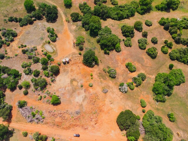 8.50ACRES County Road 322, Caldwell, TX 77836