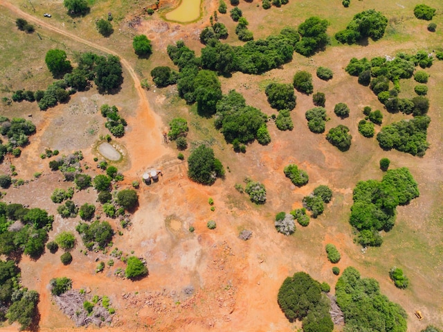 8.50ACRES County Road 322, Caldwell, TX 77836