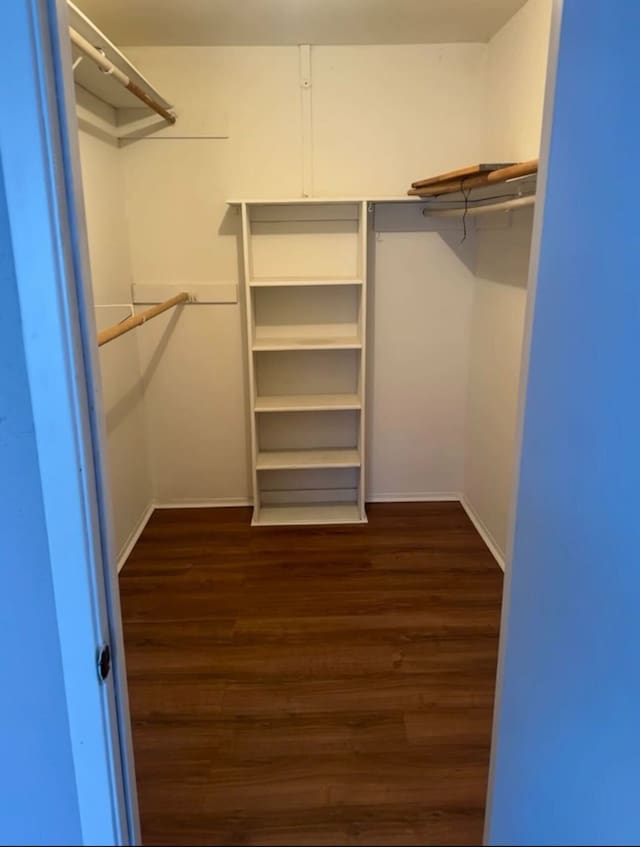 walk in closet with wood finished floors