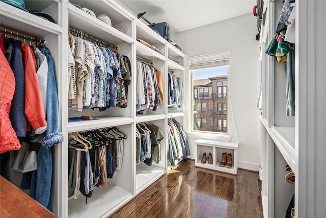 spacious closet featuring wood finished floors