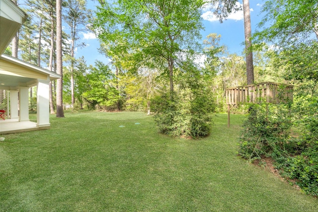 view of yard