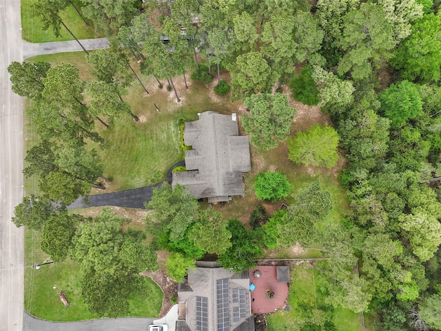 bird's eye view