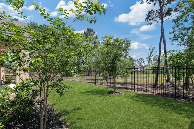 21873 Otter Point Ln, Porter, TX 77365 - view of yard featuring fence