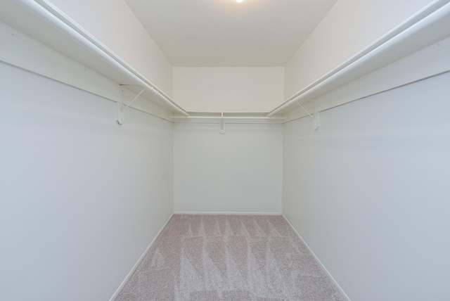 2814 River Birch Dr, Sugar Land, TX 77479 - walk in closet with carpet floors