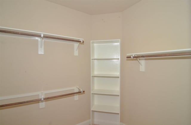 view of spacious closet