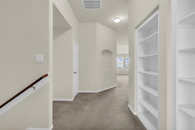 23134 Quiet Heron Ct, Katy, TX 77493 - walk in closet with carpet