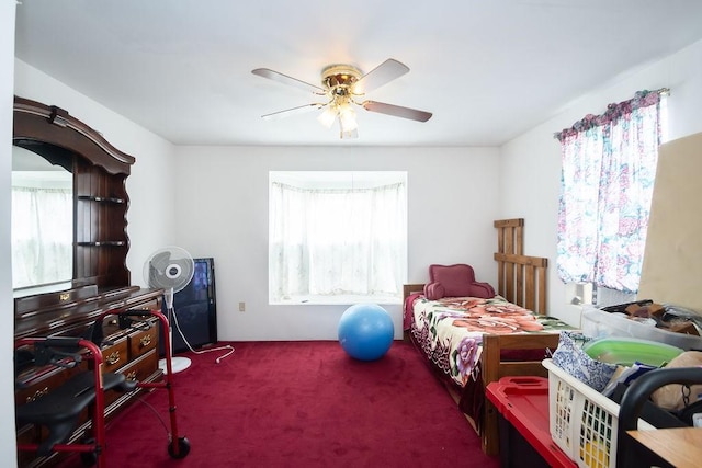 1817 Mcdaniel St, Houston, TX 77093 - bedroom with a ceiling fan, carpet, and multiple windows