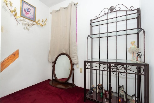 1817 Mcdaniel St, Houston, TX 77093 - unfurnished bedroom with carpet floors