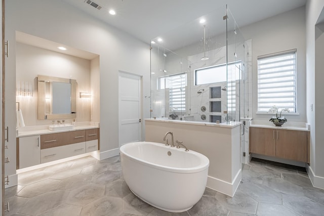 bathroom featuring vanity, a wealth of natural light, and a shower stall