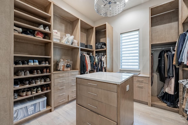 spacious closet featuring light wood-style floors