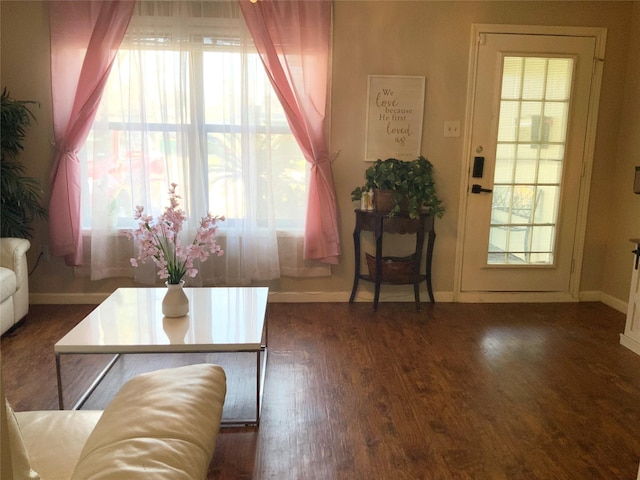 living room with a healthy amount of sunlight, baseboards, and wood finished floors