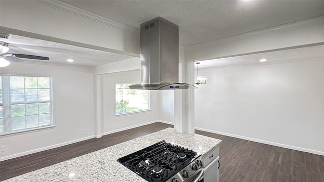 interior space featuring crown molding, stainless steel range with gas cooktop, wood finished floors, and island range hood
