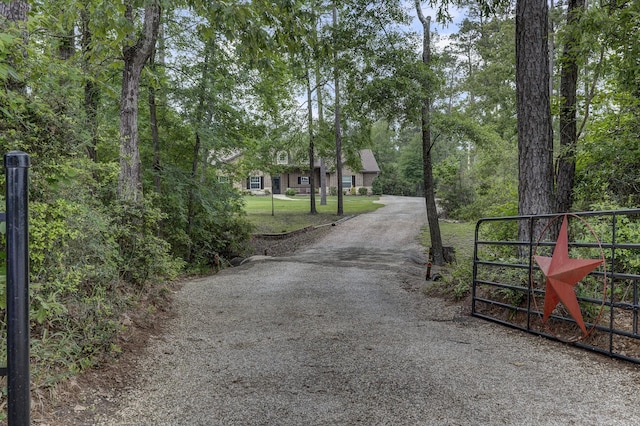 view of road featuring a gated entry, a gate, and gravel driveway