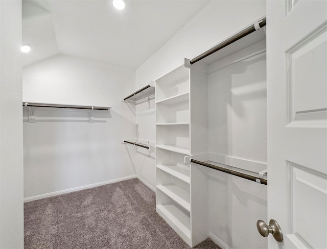 spacious closet featuring carpet floors