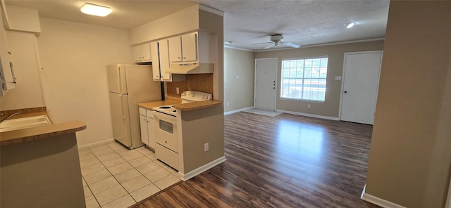 2350 Bering Dr Unit 114, Houston, TX 77057 - kitchen featuring white appliances, a ceiling fan, under cabinet range hood, and light wood-type flooring