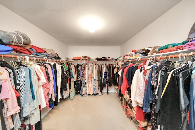 view of walk in closet