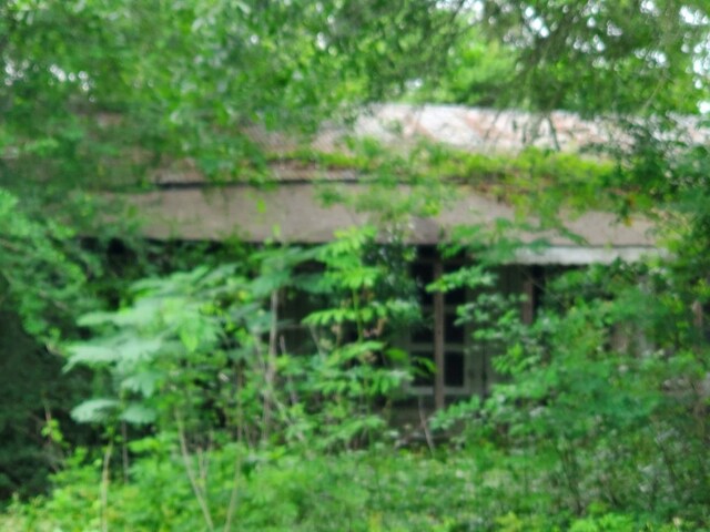 27821 Susie Ln, New Caney, TX 77357