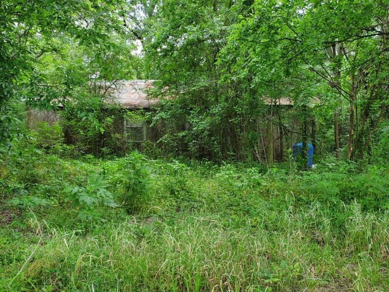 27821 Susie Ln, New Caney, TX 77357