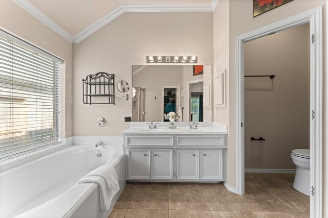 bathroom featuring a bath, a healthy amount of sunlight, a sink, and lofted ceiling