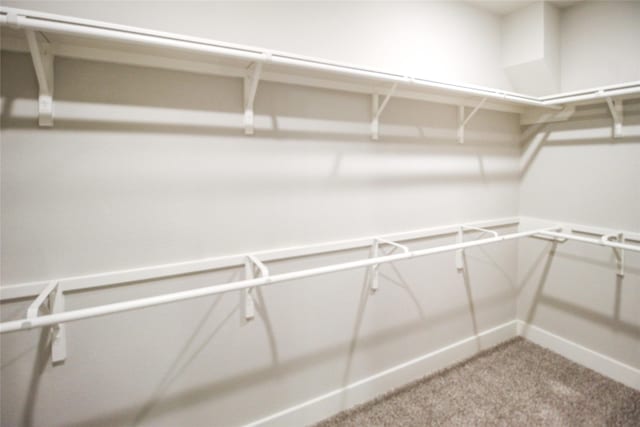 walk in closet with carpet flooring