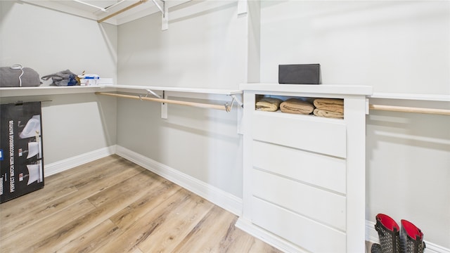 spacious closet featuring light wood finished floors