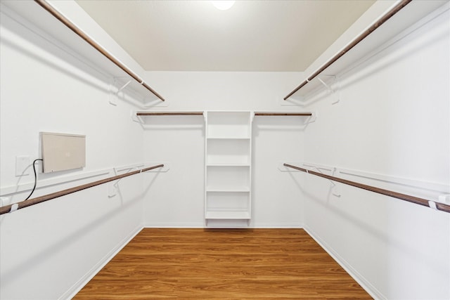 spacious closet featuring light wood-style flooring