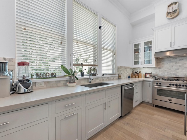 kitchen featuring ornamental molding, light countertops, under cabinet range hood, a sink, and stainless steel appliances