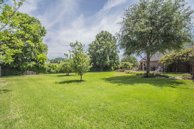 view of yard