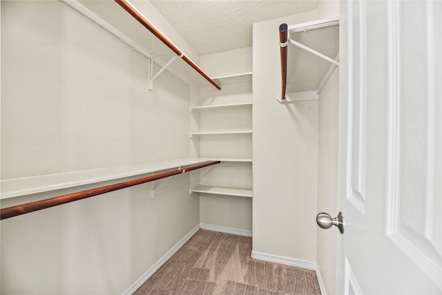 7824 Stoneyway Dr, Houston, TX 77040 - spacious closet with carpet