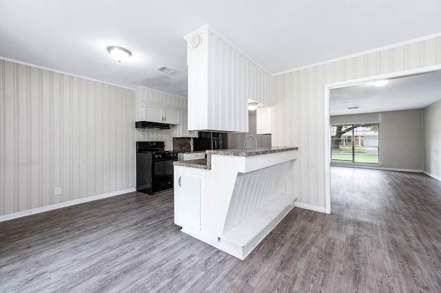 kitchen with black range with gas cooktop, a sink, a peninsula, ornamental molding, and under cabinet range hood