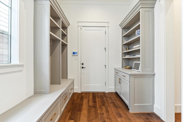 mudroom featuring crown molding and dark wood-style flooring
