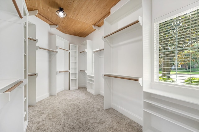 5811 Cimmaron Creek Ct, Spring, TX 77379 - spacious closet featuring carpet flooring