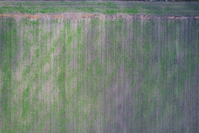 0 Fm-2546, El Campo, TX 77437