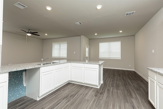 kitchen featuring a ceiling fan, visible vents, a sink, and wood finished floors