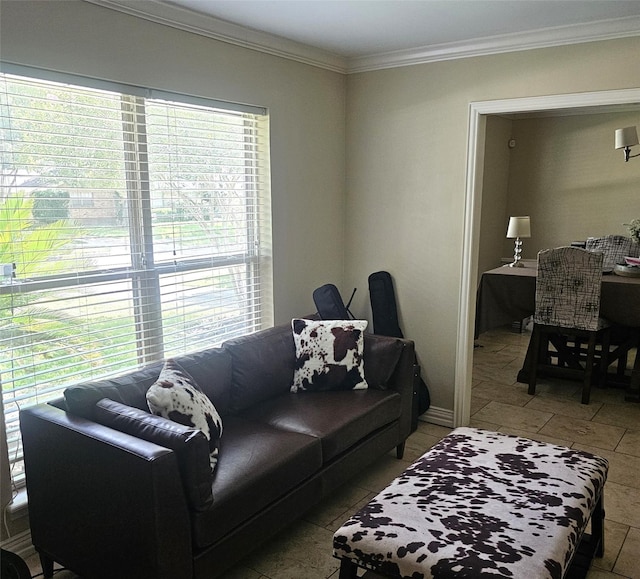 living room featuring crown molding