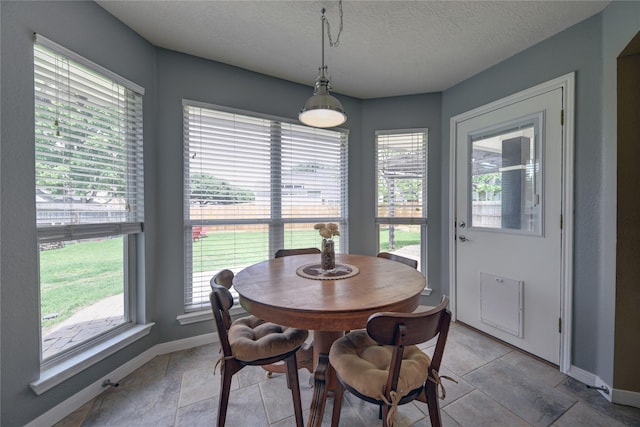 dining room featuring a healthy amount of sunlight, baseboards, and a textured ceiling