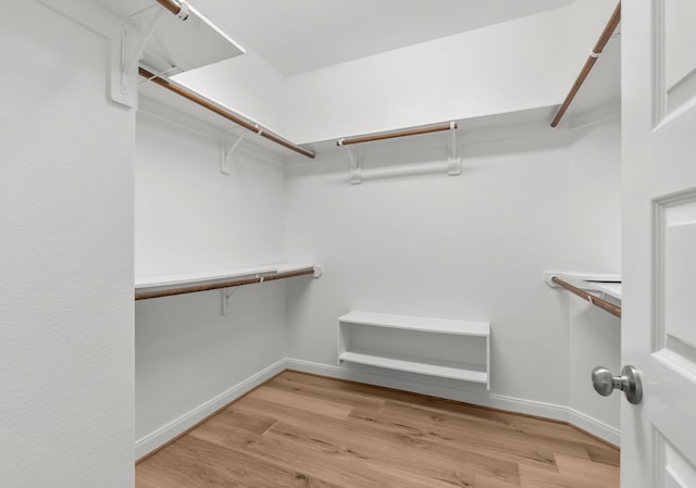 3422 Leaning Willow Dr, Katy, TX 77494 - spacious closet featuring light wood finished floors