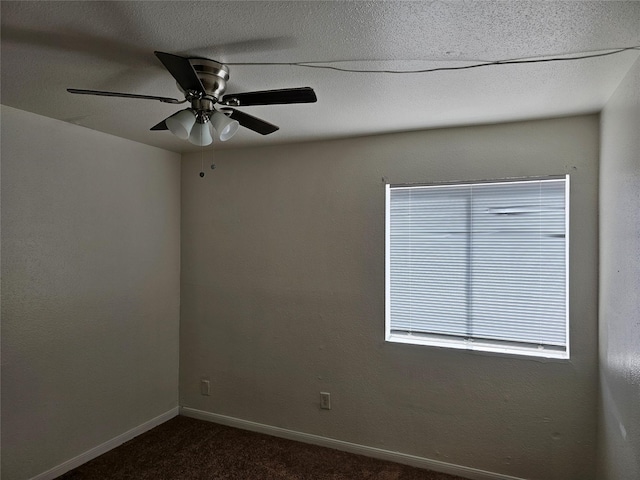 12647 Ashford Meadow Dr, Houston, TX 77082 - photo 4