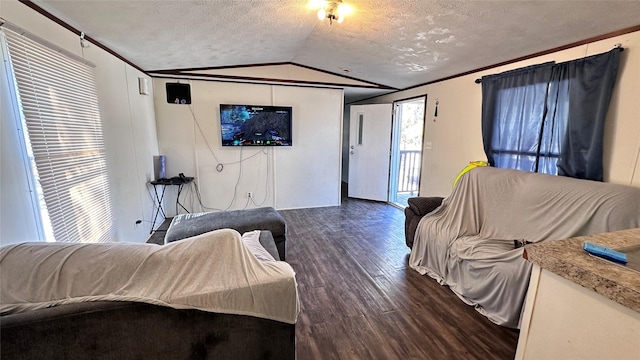 living area featuring a textured ceiling, lofted ceiling, and dark wood-type flooring