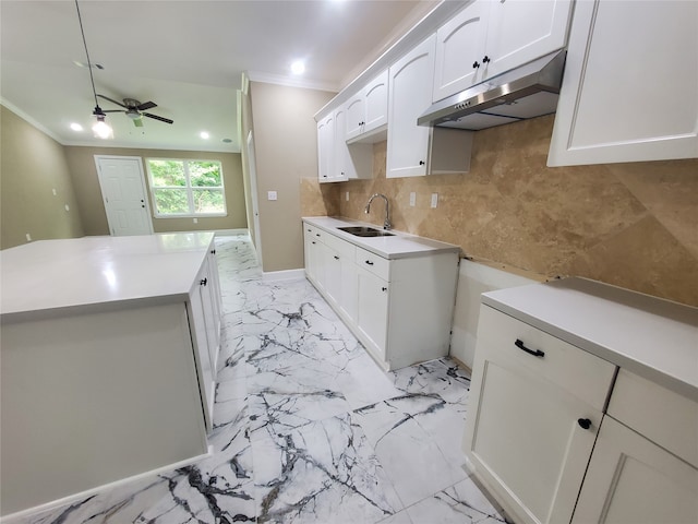 kitchen featuring crown molding, a sink, marble finish floor, tasteful backsplash, and under cabinet range hood