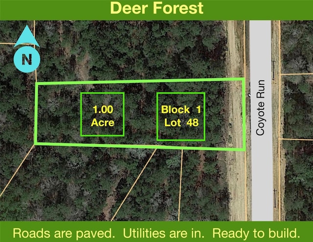68 Coyote Run, New Waverly, TX 77358 - photo 1