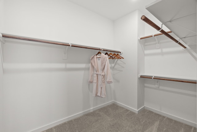spacious closet with carpet floors