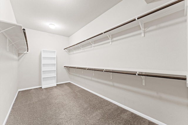 spacious closet featuring carpet floors