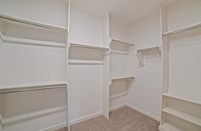 6047 Dark Kite Trl, Missouri City, TX 77459 - photo 16