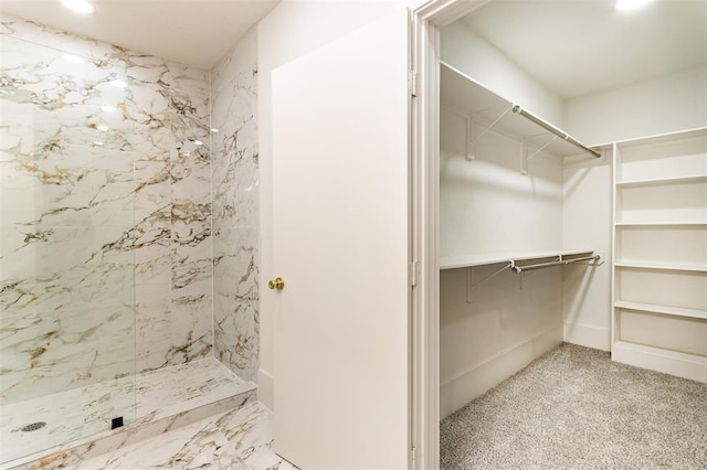 bathroom featuring a walk in closet and a shower stall