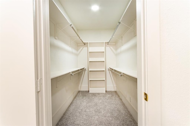 walk in closet featuring carpet flooring