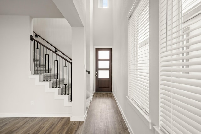 foyer entrance featuring baseboards, plenty of natural light, and dark wood-style flooring