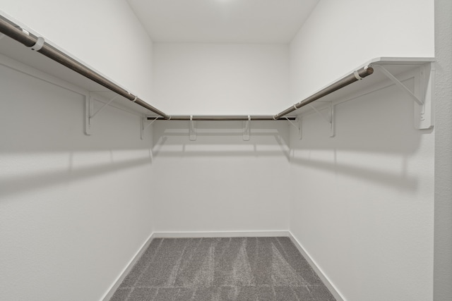 walk in closet with dark carpet