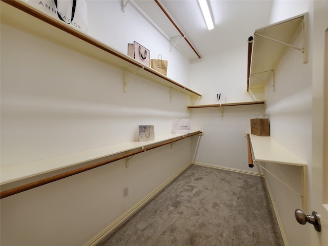5439 Emerald Pointe Ln, Sugar Land, TX 77479 - walk in closet featuring carpet